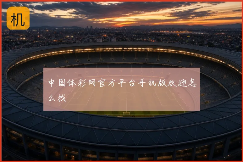 中国体彩网官方平台手机版欢迎怎么找