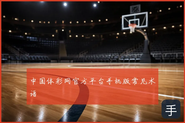 中国体彩网官方平台手机版常见术语